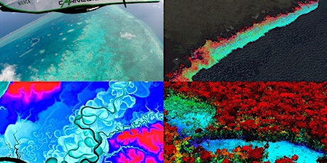 X-raying coral reefs and rainforests from the sky primary image