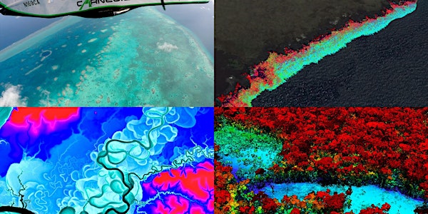X-raying coral reefs and rainforests from the sky