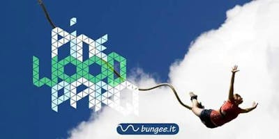 Bungee IN the PARQ - A jump for life Bungee IN the PARQ - A jump for life