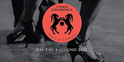 Immagine principale di Tango Experience Capraia Isola 