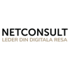 Logotipo da organização NetConsult
