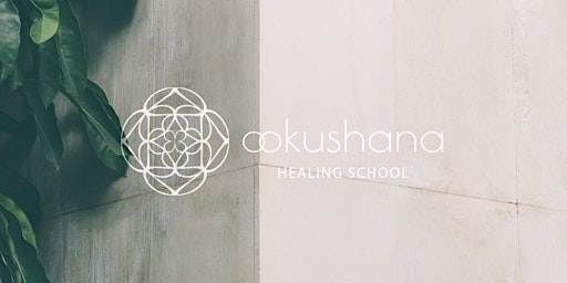 Hauptbild für Usui Reiki Training: Level 2 Practitioner