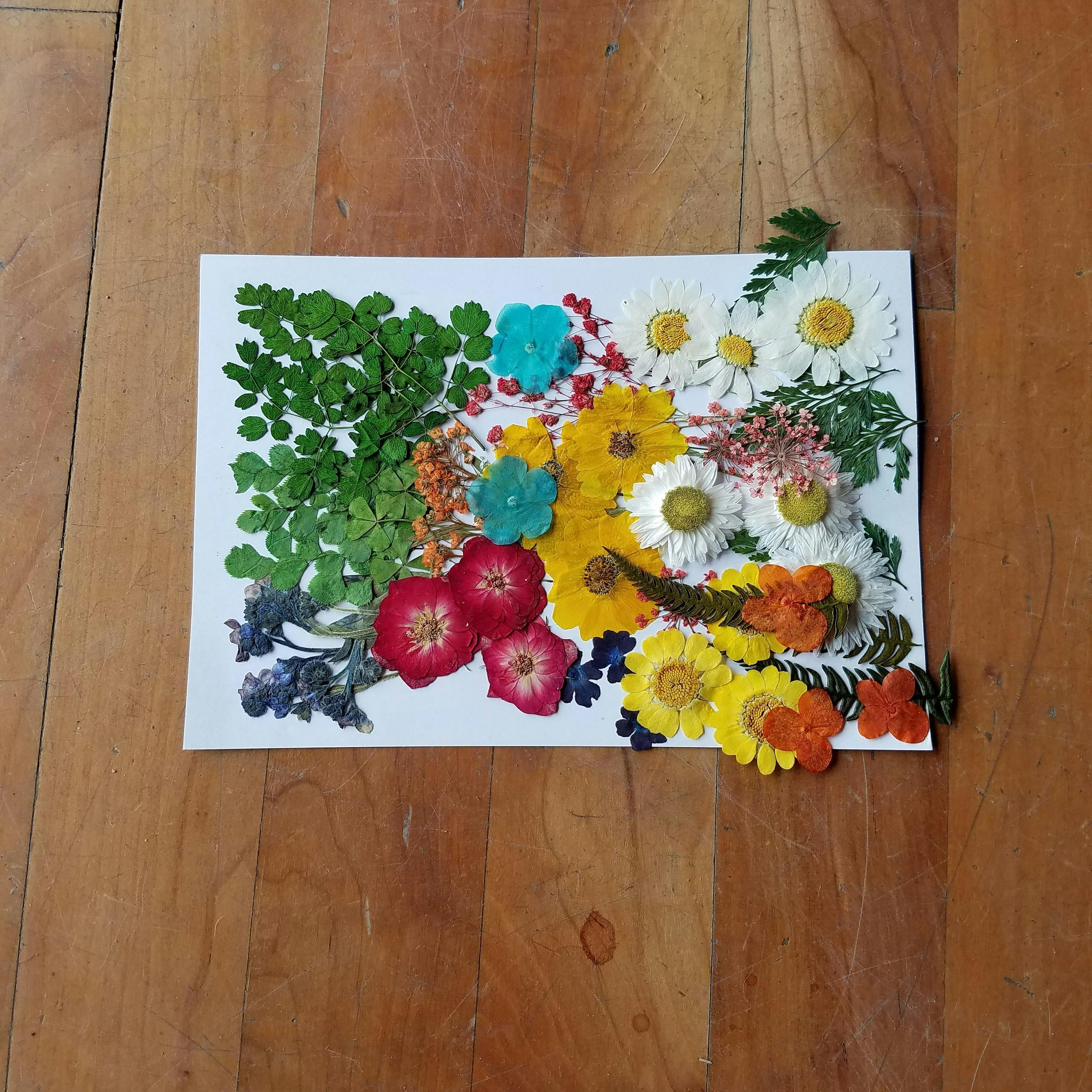 Pressed Flower And Herb Art Designs Artistic Decor 18 May 2018