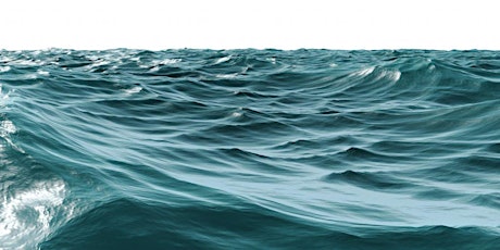 Imagem principal de Rehabilitation Nursing Education Conference - Navigating Choppy Waters