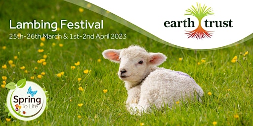 Lambing Festival
