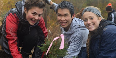 Native Planting Drop In - September 4