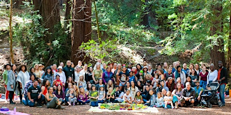 Woo Woo in the Redwoods: Spring Edition