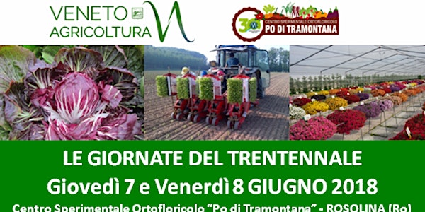 LE GIORNATE DEL TRENTENNALE