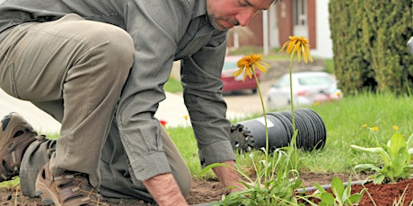 Lakeside Work Party | Plant a Rain Garden in our Community  primary image