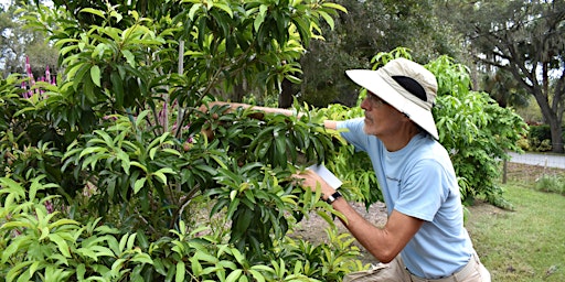 Hauptbild für Fruit Tree Paradise Workshop at SweetSong Groves