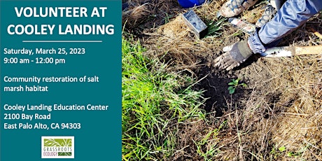 Volunteer Outdoors in East Palo Alto at Cooley Landing