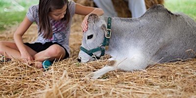 Petting Zoo by Teeny Tiny Farm