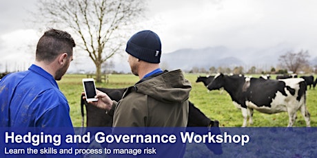 Primaire afbeelding van Hedging and Governance Workshop - Invercargill