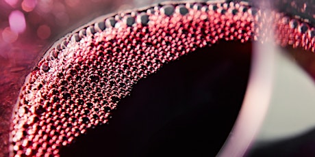 Understanding Red Wine primary image