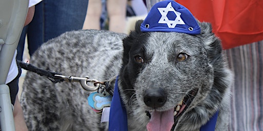 Hauptbild für Bark Mitzvah