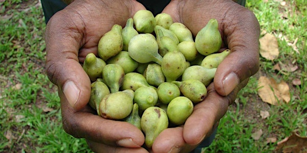 Interdisciplinary Workshop on the Kakadu Plum