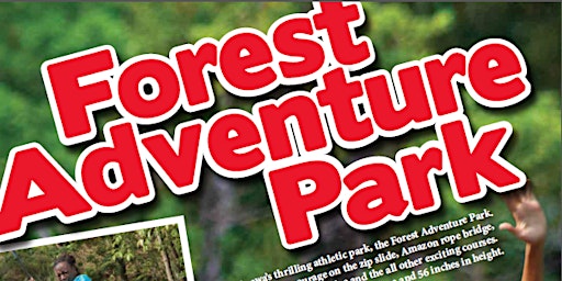 MCCS Okinawa Tours: Northern Forest Adventure 2023 primary image