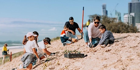 School Holiday Dune Planting Workshop Kirra