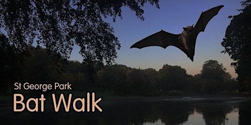 St George Park Bat Walk with Steve England