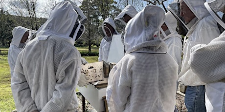 NBB Apiary Field Day primary image