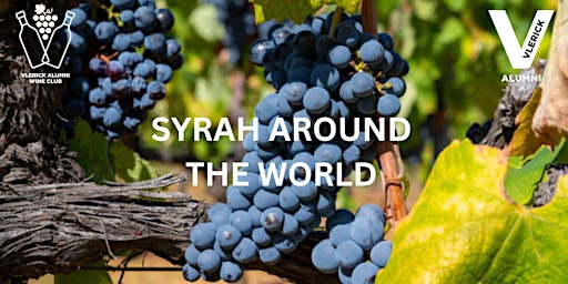 Vlerick Alumni Wine Club: Syrah around the World