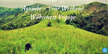 Agumbe- Your Weekend Wilderness Voyage primary image