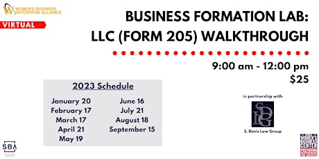 Business Formation Lab and LLC (Form 205) Application Walkthrough