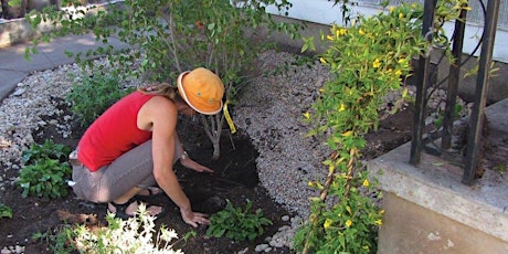 Hauptbild für Tree-t Yourself On 3/11  at the Grow Green to Keep Our Water Clean Training