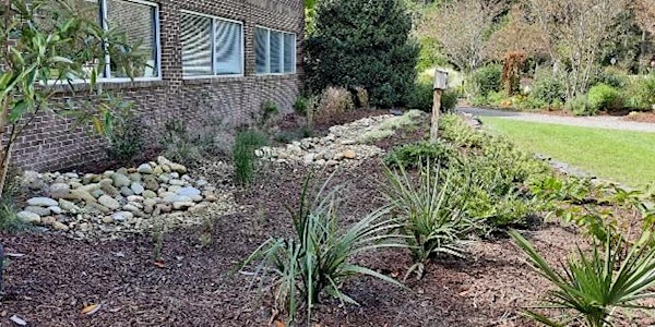 Day in the Yard - 7 sessions about gardening in Zone 8 (Coastal NC)