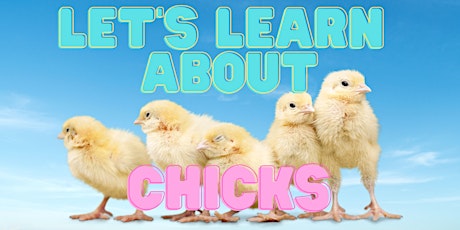 Let's learn about chicks! - April 15