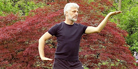 Tai Chi Introductory Workshop [4 Lessons] primary image