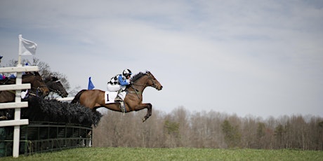 Blue Ridge Hunt Point to Point Races 2024