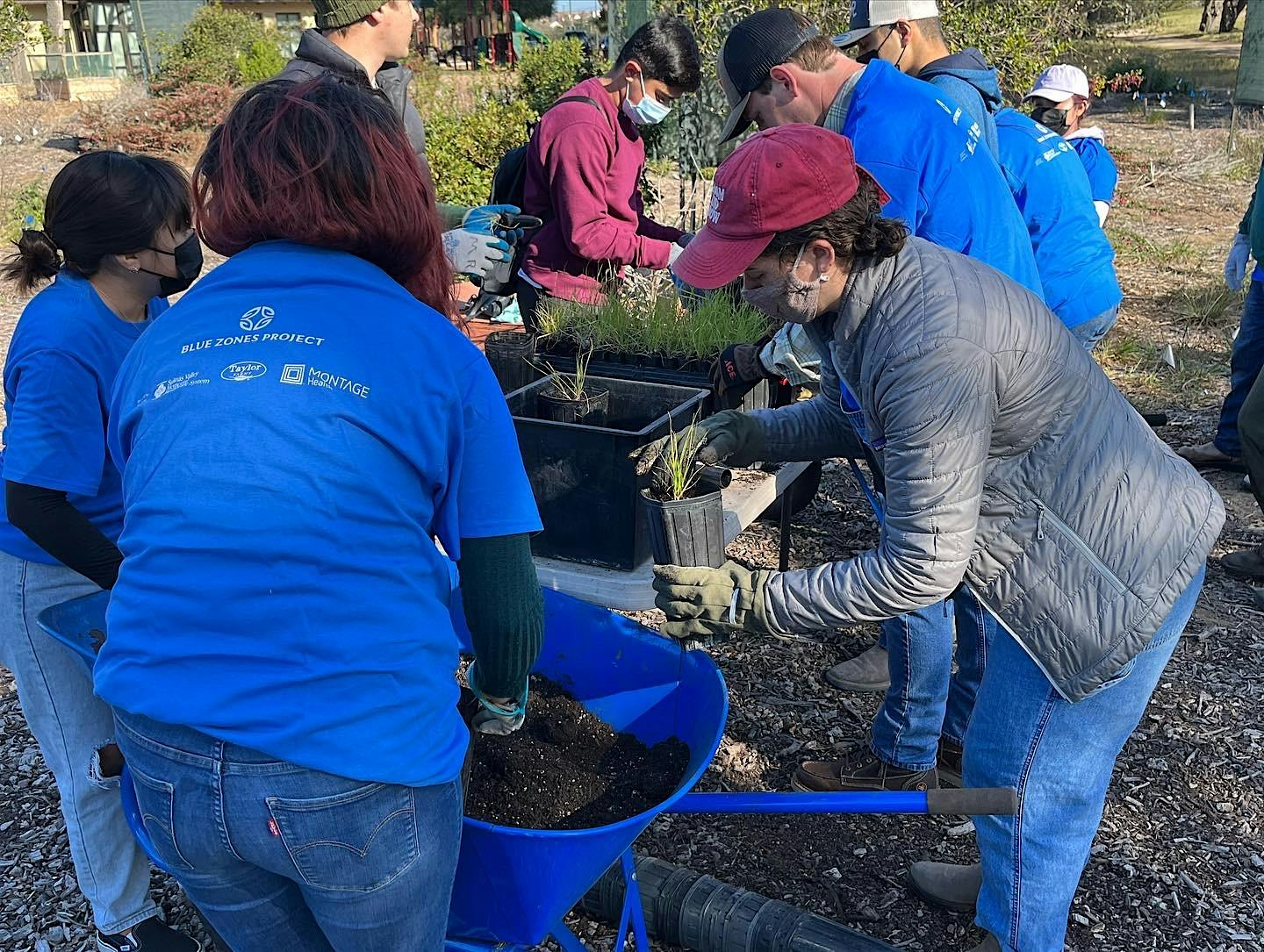 Community Volunteer Day – April – Oak Woodland Community Garden