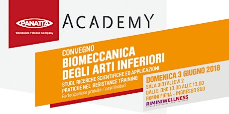Hauptbild für BIOMECCANICA DEGLI ARTI INFERIORI 