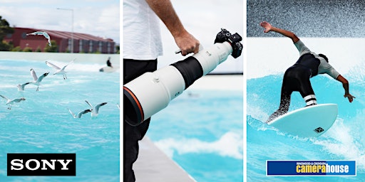 Sony surf photography experience primary image