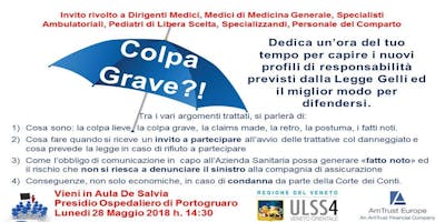 La Colpa Grave nella professione sanitaria della Regione Veneto La Colpa Grave nella professione sanitaria della Regione Veneto