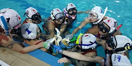 Introduction to Underwater Hockey