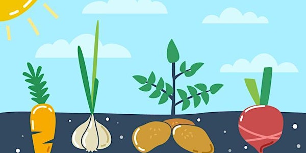 Planning Your Garden