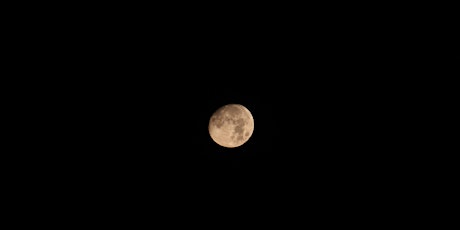Venus-Moon Watch April 22