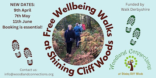 Image principale de FREE Well-Being Walk in Shining Cliff Woods