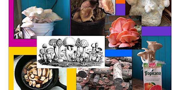 Skills for Low-Tech Mushroom Cultivation