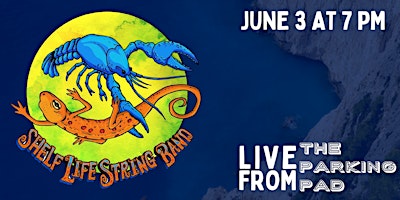 Shelf Life String Band: Live from the Parking Pad