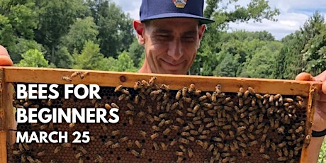 Bees for Beginners