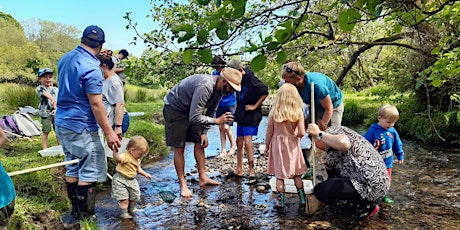 Family Activity Afternoon at Kingcombe Meadows