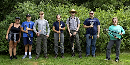 Invasive Plant Removal Drop In - May 9