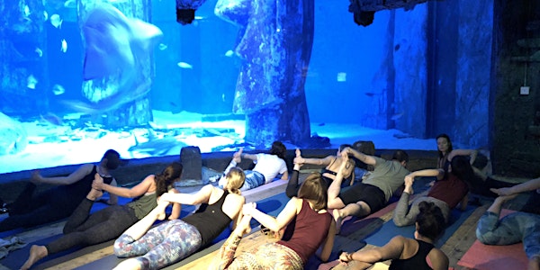 YOGA UNDER THE SEA