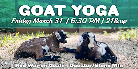 GOAT YOGA with Wine & Chocolates | Friday March 31
