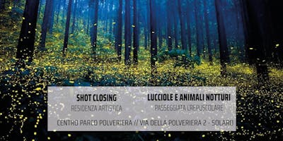 Lucciole e animali notturni + SHOT closing \\ woodland : arte musica natura Lucciole e animali notturni + SHOT closing \\ woodland : arte musica natura