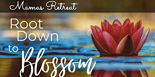 Root Down to Blossom - Day Retreat: June 2023 session primary image