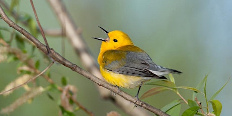 Audubon North Carolina 2018 Summit   primary image